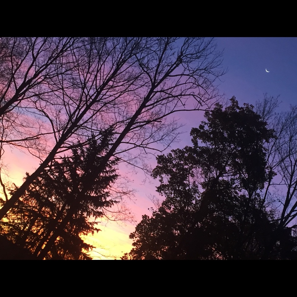 Meet your Posher, Baila